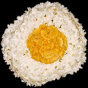 Spiegelei f&uuml;r Martin