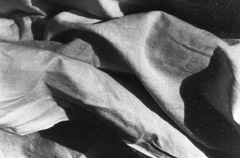 Creation of Form