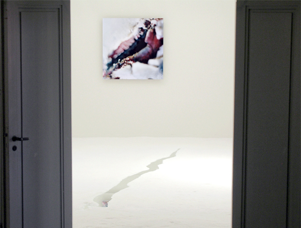 whiteness installation view